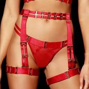 NWT Honey Birdette Samantha red suspender Sz S